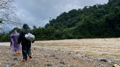 Đã tìm thấy người phụ nữ bị cô lập trong rừng