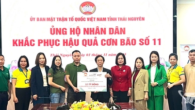 קבוצת וילמר CLV תומכת ב-2.1 מיליארד וונד כדי לסייע לתאי נגוין להתגבר על תוצאות השיטפונות