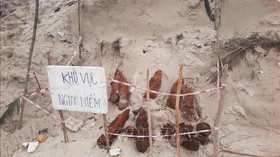 クアンチ省：洪水後に地雷8個が発見される