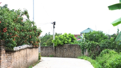 Bắc Ninh tiếp tục đẩy mạnh thực hiện Chương trình MTQG xây dựng nông thôn mới và giảm nghèo bền vững năm 2025