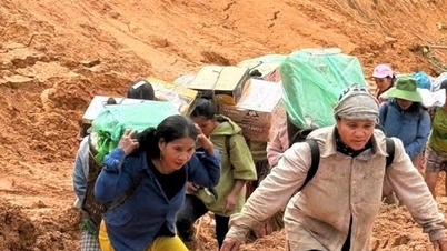 קומונות הרריות בדה נאנג מספקות מזון לאזורי מגורים מבודדים