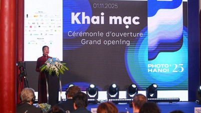 افتتاحیه «جشن بصری» در هانوی