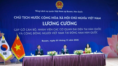 President ontmoet functionarissen van vertegenwoordigende instanties en de Vietnamese gemeenschap in Zuidoost-Korea