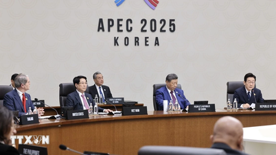 Cumhurbaşkanı, APEC Zirve Haftası'na katılmak üzere çalışma gezisini başarıyla tamamladı