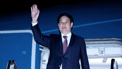 Cumhurbaşkanı, APEC Zirve Haftası'nı ve Kore'deki ikili çalışmaları başarıyla tamamladı