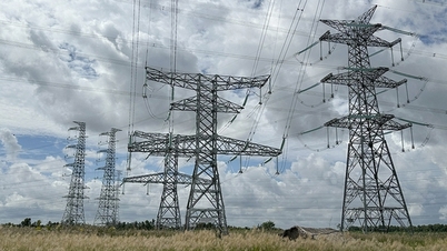 Nhon Trach 3 پاور پلانٹ کی صلاحیت کو جاری کرنے کے منصوبے کو کامیابی کے ساتھ تقویت ملی