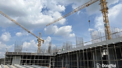 Dong Nai har åtta sociala bostadsprojekt som är berättigade till lån från ett kreditpaket på 120 biljoner VND.