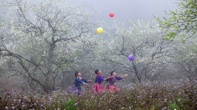 Den fortryllende skjønnheten til «verdens beste turistlandsby» i den nordligste delen av Vietnam