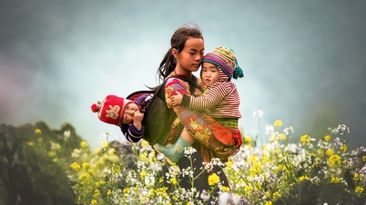 Vietnam'ın en kuzeyindeki 'dünyanın en iyi turistik köyü'nün büyüleyici güzelliği