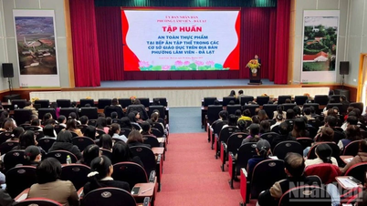 Lâm Đồng: Nâng cao kiến thức về an toàn thực phẩm tại các trường học bán trú