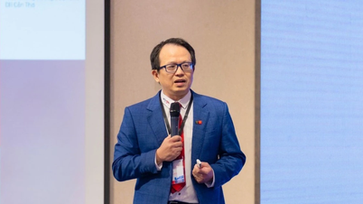 Da Nang tiene una gran necesidad de recursos humanos especializados en logística en medio de un rápido desarrollo de infraestructuras.