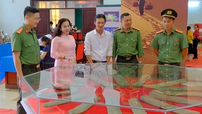 Litofonskatten och den spännande återföreningen