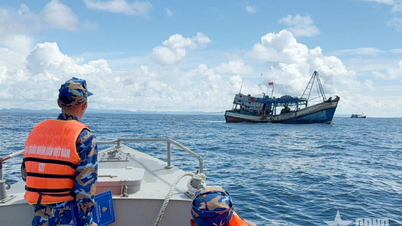 Regiunea Navală 5 își intensifică lupta împotriva pescuitului INN