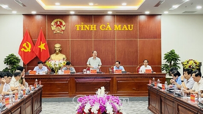 까마우 크랩 페스티벌의 일련의 행사를 검토하고 신중하게 준비하세요.