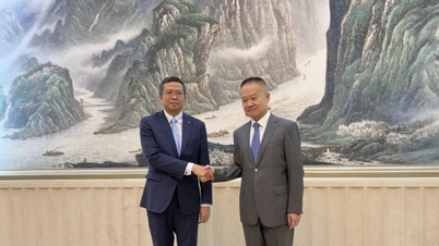 Pham Thanh Binh, vietnami kínai nagykövet találkozott Liu Haixinggel, a Kínai Kommunista Párt Központi Bizottsága Nemzetközi Kapcsolatok Osztályának vezetőjével.