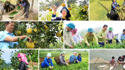 Lao Cai: Støttefond for bønder hjelper folk å komme seg ut av fattigdom
