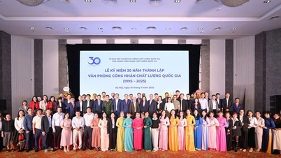 A nemzeti minőség bizalmi alapjainak kiépítése: A BoA növekedésének három évtizede