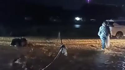 Body of woman swept away by floodwaters found in Lam Dong