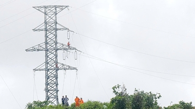 Překonání problému s pádem 110kV sloupu a obnovení dodávky elektřiny do západní oblasti Da Nangu po 5 dnech