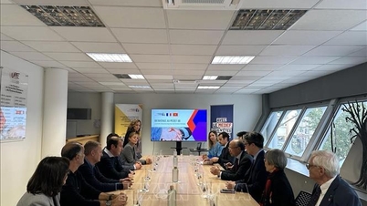 Французские компании ищут возможности сотрудничества во Вьетнаме