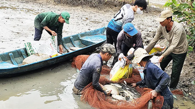 توسعه صنعت شیلات به سمت رشد سبز و پایدار