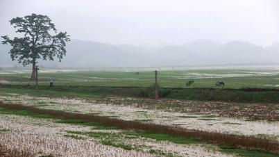 آب و هوای نِگه آن در ۲ نوامبر: رگبار پراکنده، سرما در شب و صبح، سرما در مناطق کوهستانی