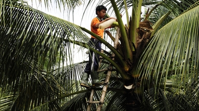 Different Startups: When 'Pain' Becomes an Opportunity to Get Rich