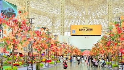 المعرض الخريفي الأول 2025: