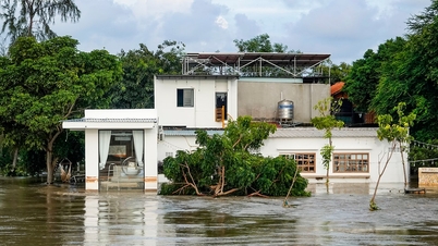 ليلة بيضاء بالقرب من مصب النهر