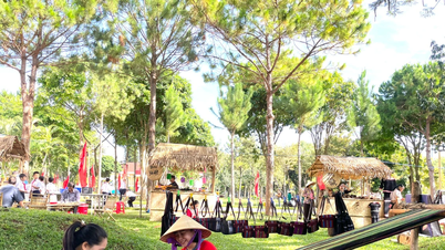 "Cultural Heritage Festival" takes place from November 21 to 23 in Pleiku