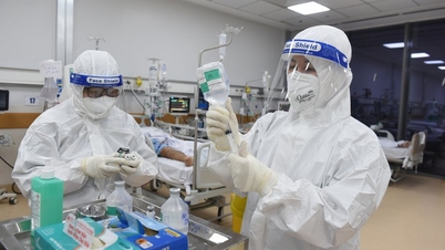 Đài tưởng niệm nạn nhân COVID-19: Huy động trí tuệ xã hội cho một biểu tượng vĩnh cửu