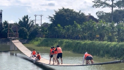 گرین جزیرے کا تجربہ