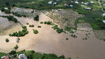 ラムドン省南東部の洪水は過去30年以上で最も深刻なものとなっている。