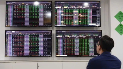 অক্টোবরের শেষে শেয়ার বাজারে স্পষ্ট পার্থক্য, ক্রমবর্ধমান সমন্বয় চাপ