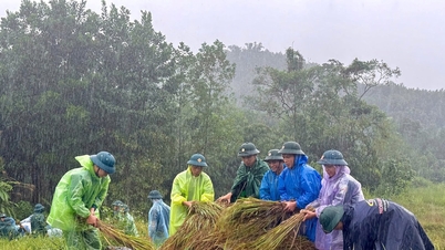 Ο ένας για τον άλλον, μοιραστείτε τις δυσκολίες