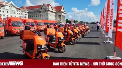 טכנולוגיה 11/1: בינה מלאכותית נכנסת לפרלמנט האלבני, הכנסות Viettel Post עולות על התוכנית