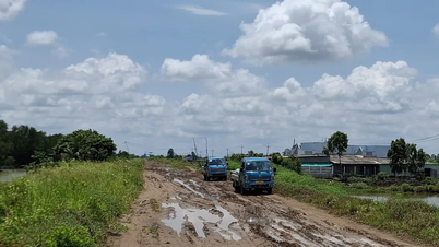 Ca Mau: De bouw van de Oostzeedijk is nog niet voltooid, waardoor het voor mensen moeilijk is om te reizen.