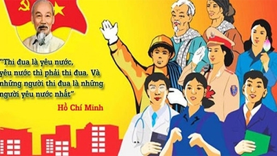 Praktiske, omfattende retningslinjer