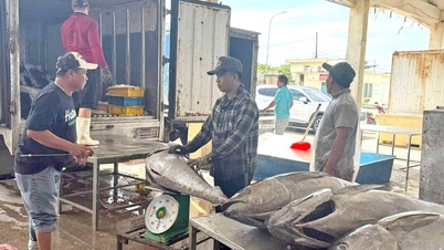 Očekávání průlomu