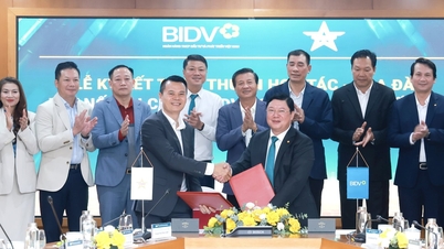 BIDV renforce sa coopération avec les entreprises Sao Vang Dat Viet