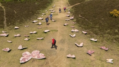 The most beautiful art routes in England this autumn