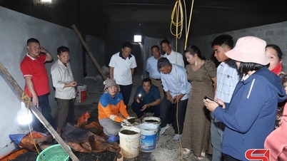 Cirkulärt jordbruk – en riktning mot hållbar utveckling