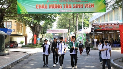 Ho Chi Minh Şehri'ndeki Ly Tu Trong Koleji davası: Ho Chi Minh Şehri Halk Komitesi açıklama yapılmasını talep ediyor