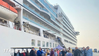 Exploitatie van de 'goudmijn' van het Vietnamese cruisetoerisme: noodzaak van een synchrone investeringsstrategie