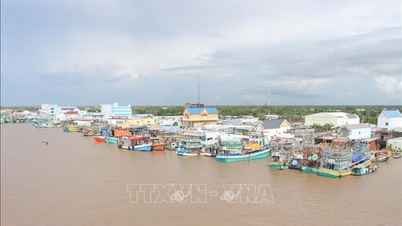 Pokonywanie „żółtej kartki” w związku z nielegalnymi, nieraportowanymi i nieuregulowanymi połowami: Ca Mau priorytetowo traktuje rozpatrywanie naruszeń