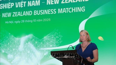 Forbinder Vietnam - New Zealand-handel