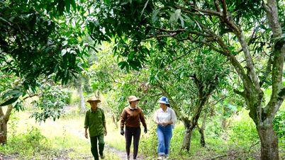 1조 달러 자본, 람동 주민들의 봉기 및 빈곤 탈출에 도움