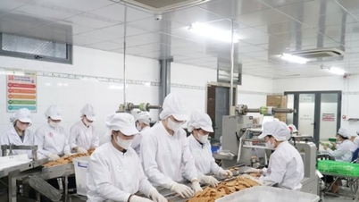 Doanh nghiệp Đà Nẵng chú trọng xuất khẩu vào thị trường Halal