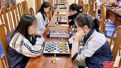 Népszerűsítsd a sportmozgalmat a diákok körében