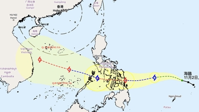 Storm Kalmaegi is een zware storm in de Oostzee, die Da Nang - Khanh Hoa kan treffen